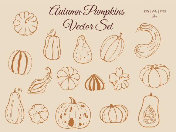 Autumn Pumpkins Vector Set: Graphics & Illustrations for Cozy Crafting