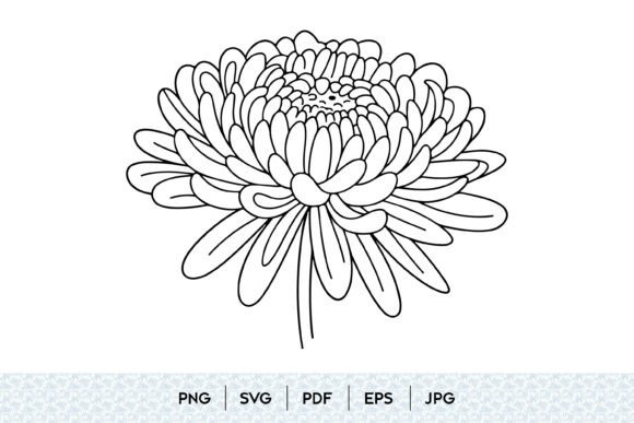 Chrysanthemum Flower Line Art SVG: A Designer’s Real-World Review for Branding & Creative Projects